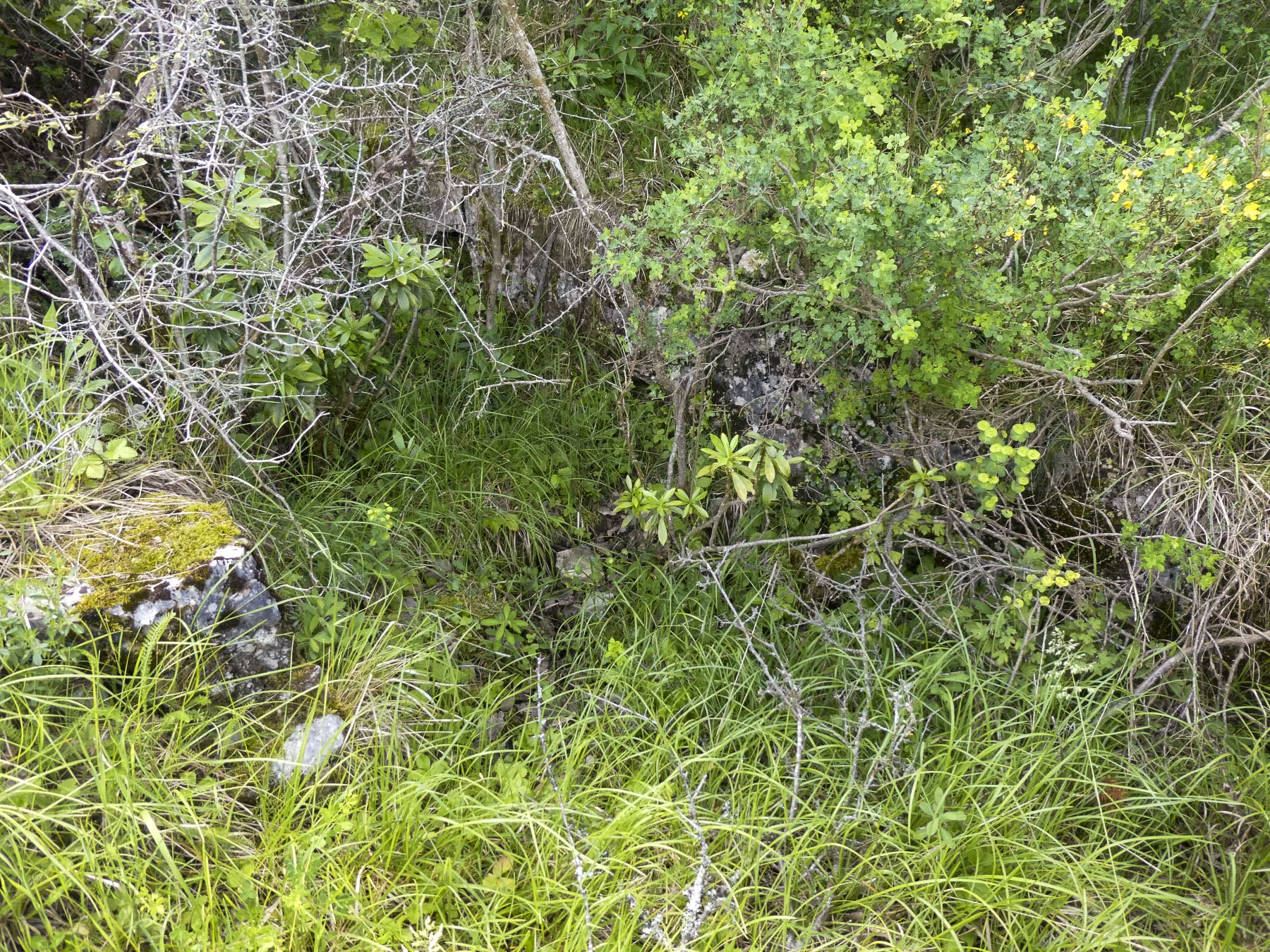 Ligne Maginot - COL DE SEGRA - (Chambre de coupure) - Départ de la tranchée maçonnée vers la chambre - ELLENA Daniel - CUNY Philippe