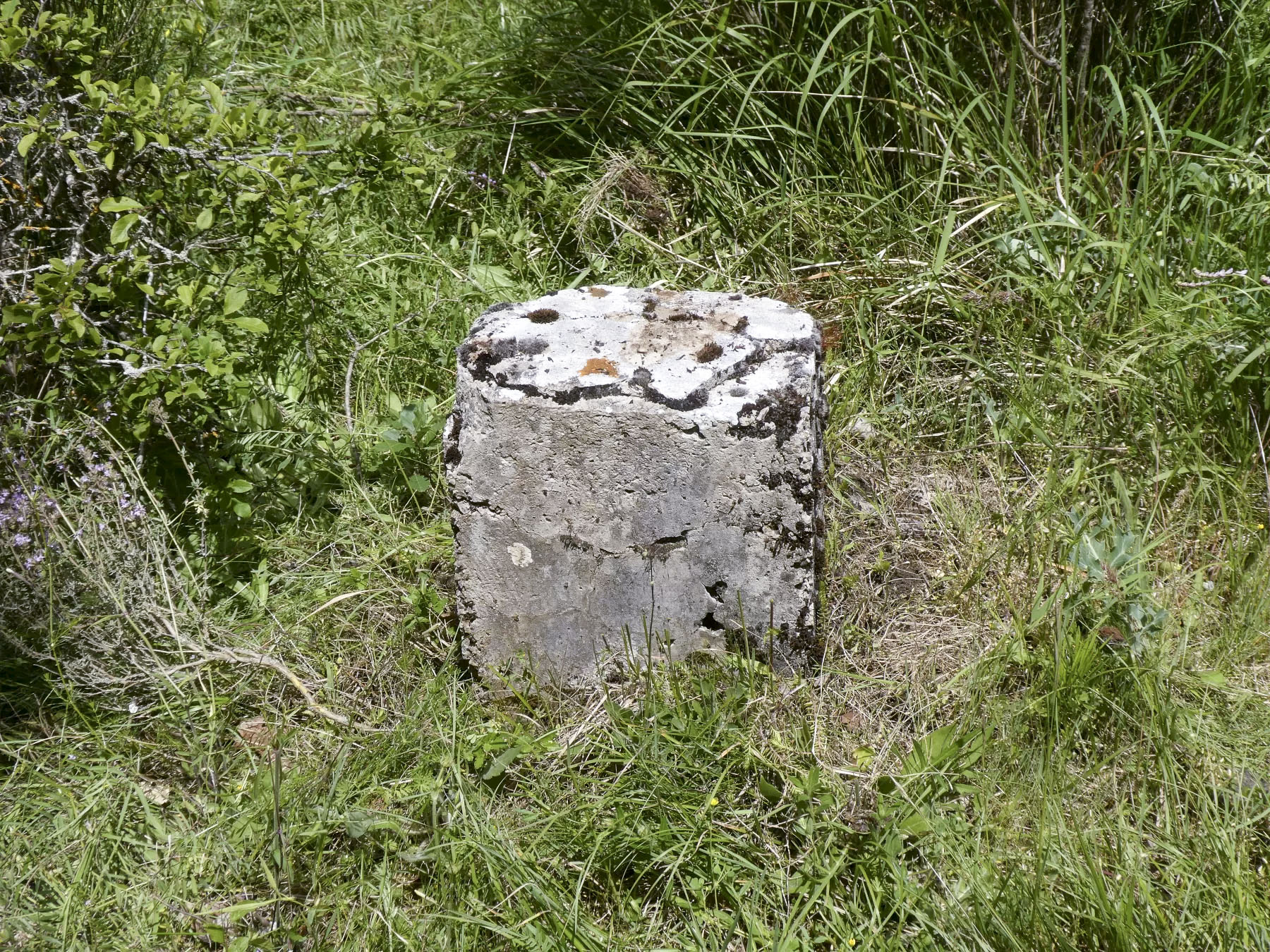 Ligne Maginot - COL DE SEGRA - (Chambre de coupure) - Borne prés de la chambre - ELLENA Daniel - CUNY Philippe