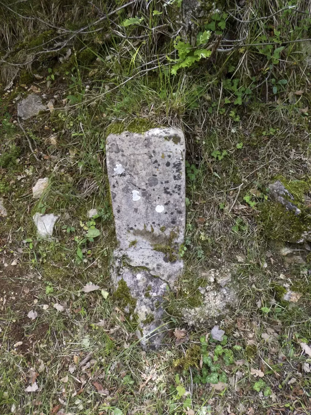 Ligne Maginot - COL DE SEGRA - (Chambre de coupure) - Bornes sur la route  - ELLENA Daniel - CUNY Philippe