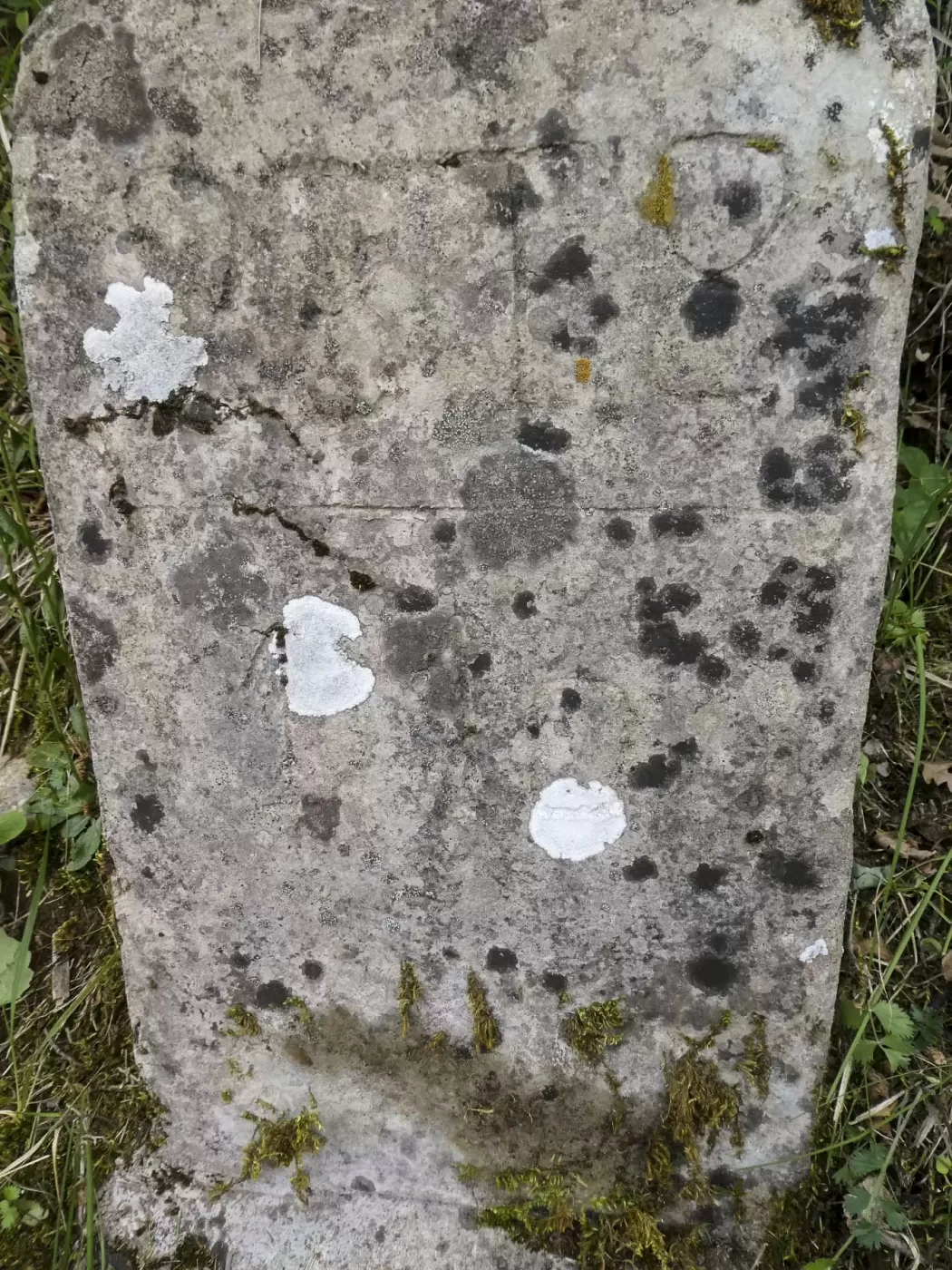 Ligne Maginot - COL DE SEGRA - (Chambre de coupure) - Bornes sur la route (28T8/110) - ELLENA Daniel - CUNY Philippe