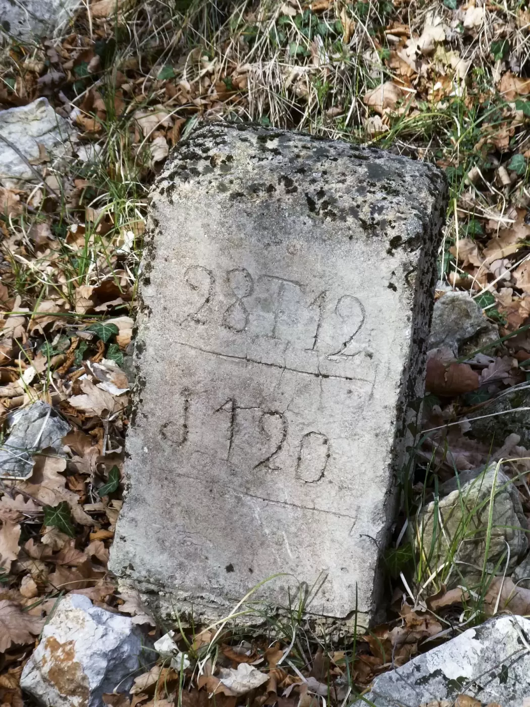 Ligne Maginot - COL DE SEGRA - (Chambre de coupure) - Bornes sur la piste (28T12/120) - ELLENA Daniel - CUNY Philippe