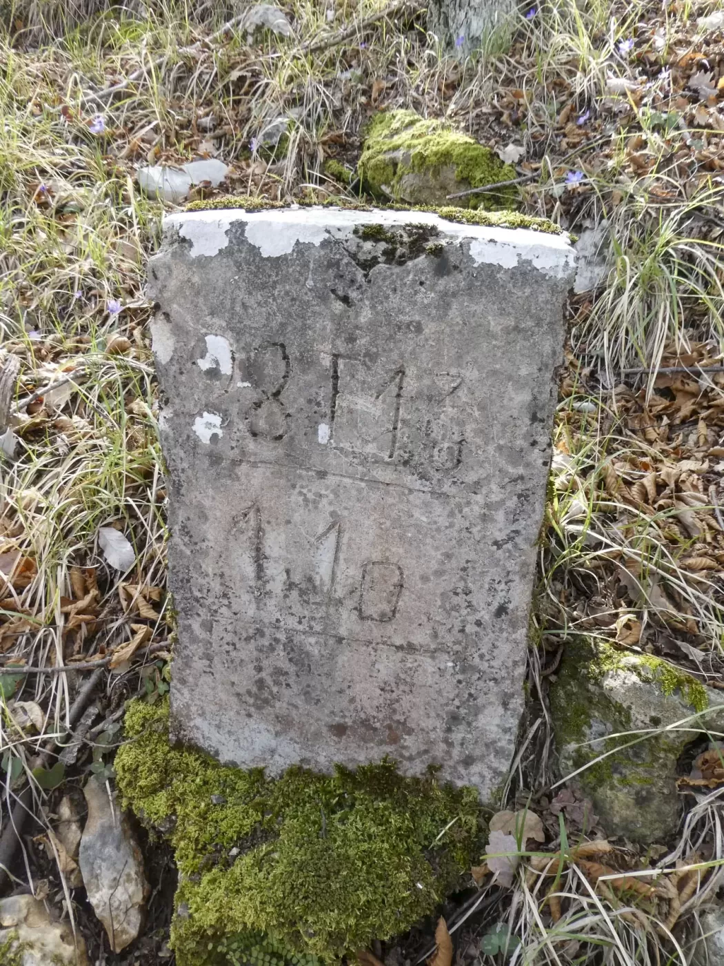 Ligne Maginot - COL DE SEGRA - (Chambre de coupure) - Bornes sur la piste (28T1?/110) - ELLENA Daniel - CUNY Philippe