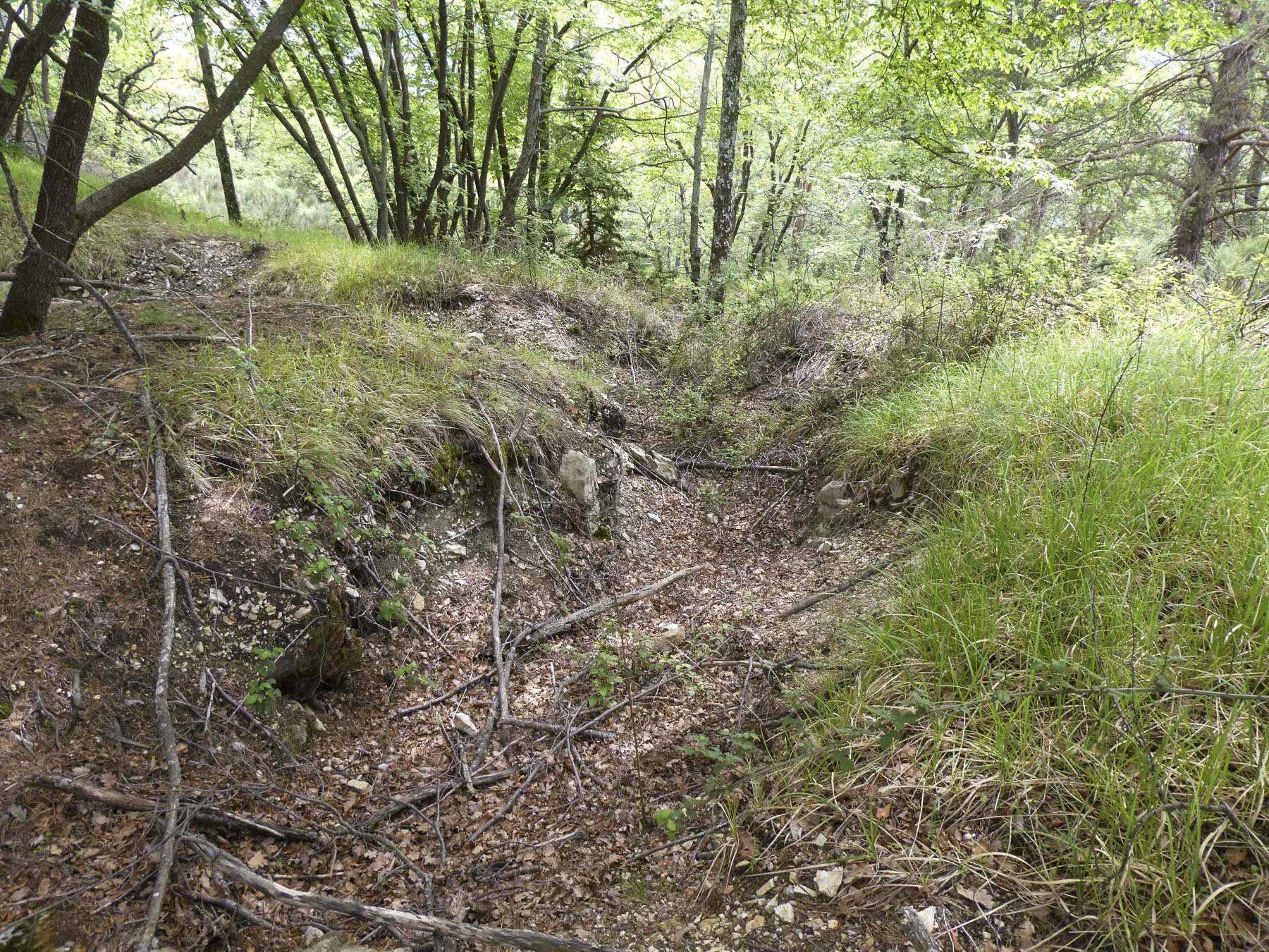 Ligne Maginot - RAVIN DE GAZOUIL - (Abri) - Environnement: Le point d'appui  - ELLENA Daniel - CUNY Philippe