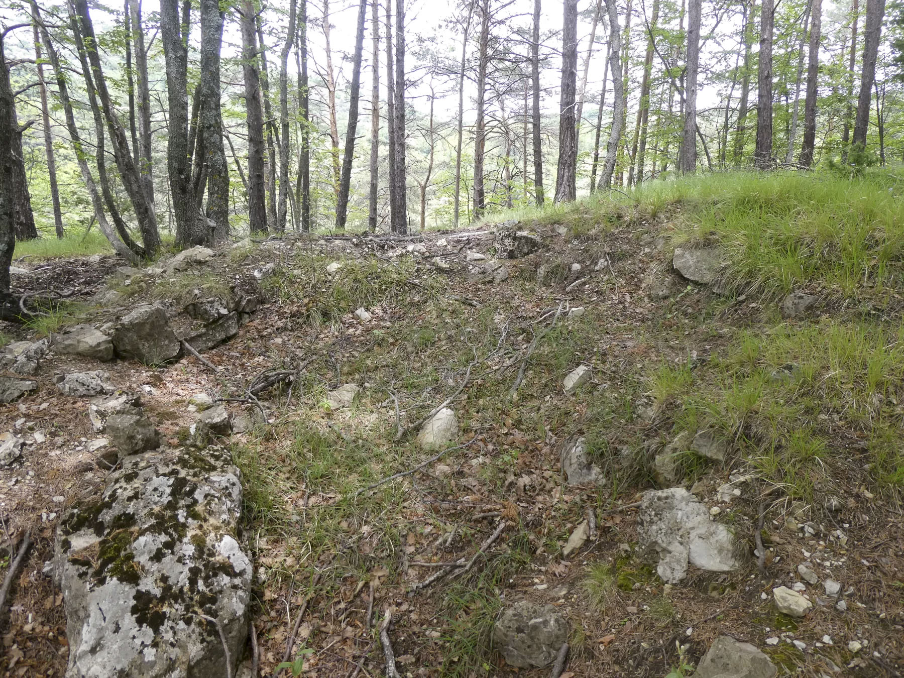 Ligne Maginot - RAVIN DE GAZOUIL - (Abri) - Environnement: Le point d'appui  - ELLENA Daniel - CUNY Philippe