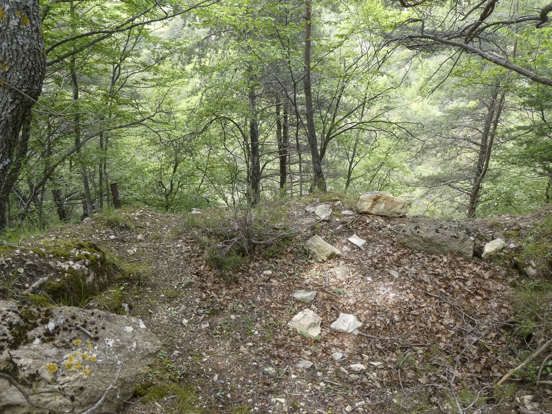Ligne Maginot - RAVIN DE GAZOUIL - (Abri) - Environnement: Le point d'appui  - ELLENA Daniel - CUNY Philippe