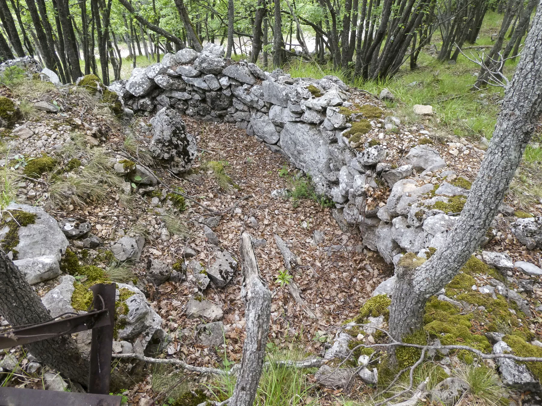 Ligne Maginot - MONT OURS EST - (Abri) - Environnement - ELLENA Daniel - CUNY Philippe