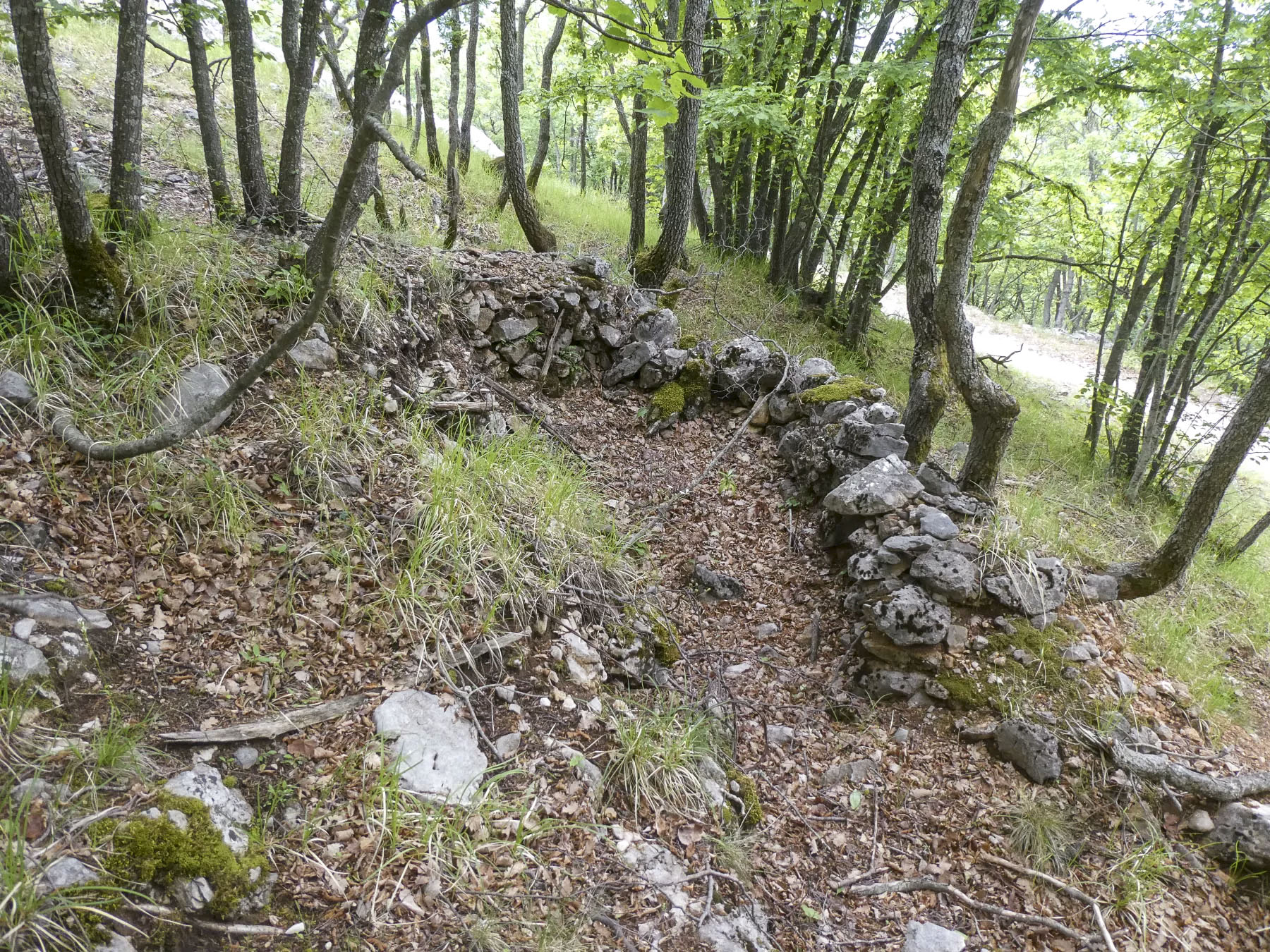 Ligne Maginot - MONT OURS EST - (Abri) - Environnement - ELLENA Daniel - CUNY Philippe
