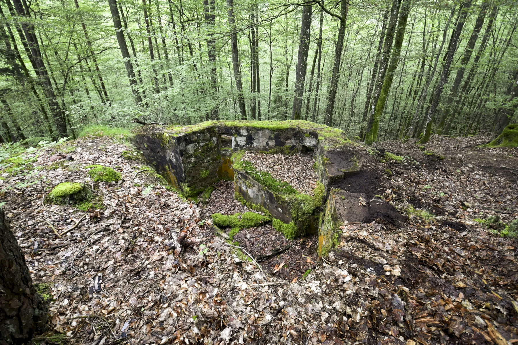 Ligne Maginot - DACHSECK 3 - (Cuve pour arme d'infanterie) -  - Ludovic KNAPP