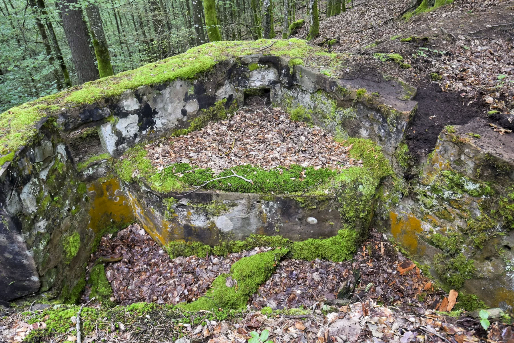 Ligne Maginot - DACHSECK 3 - (Cuve pour arme d'infanterie) -  - Ludovic KNAPP