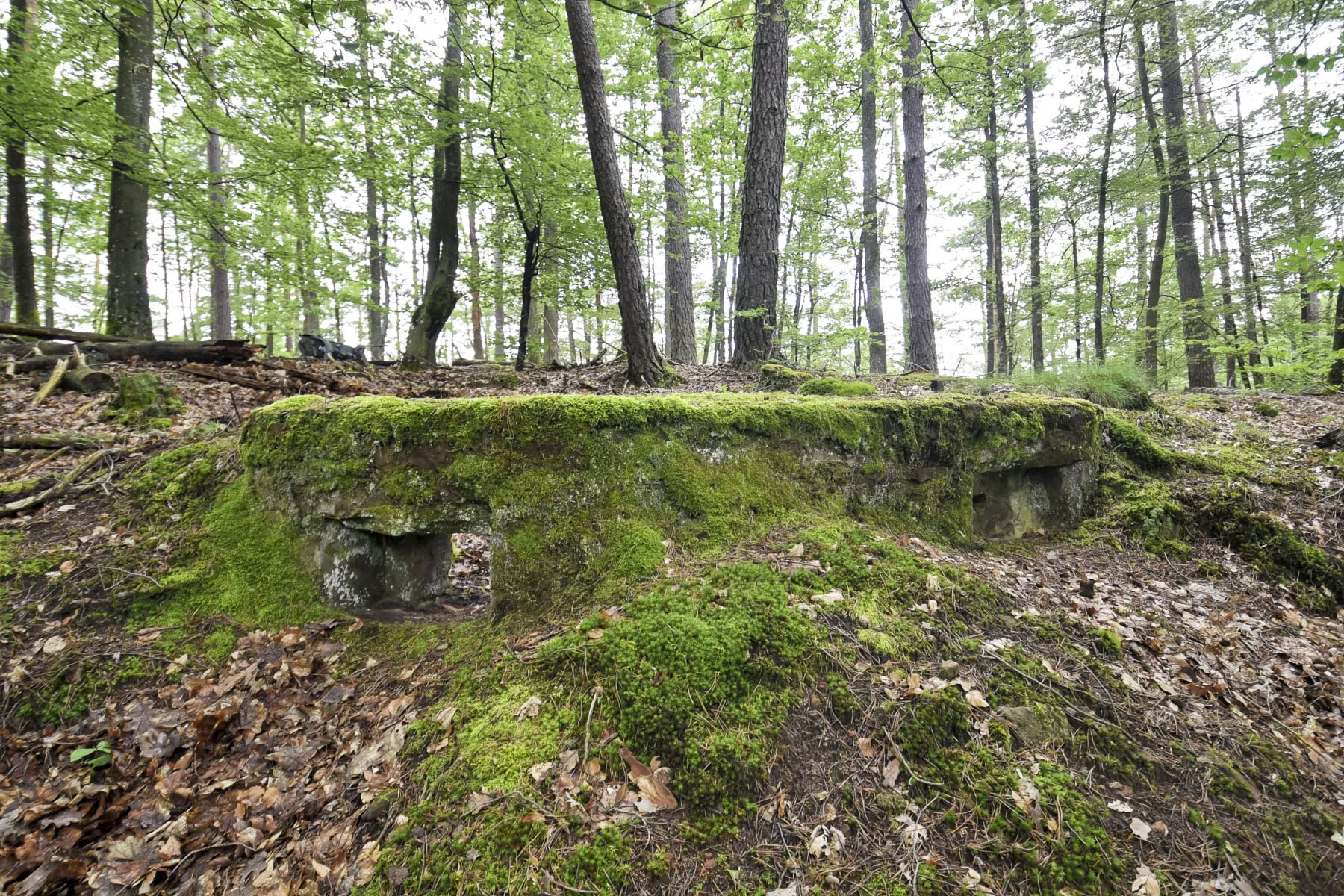 Ligne Maginot - DACHSECK 3 - (Cuve pour arme d'infanterie) -  - Ludovic KNAPP