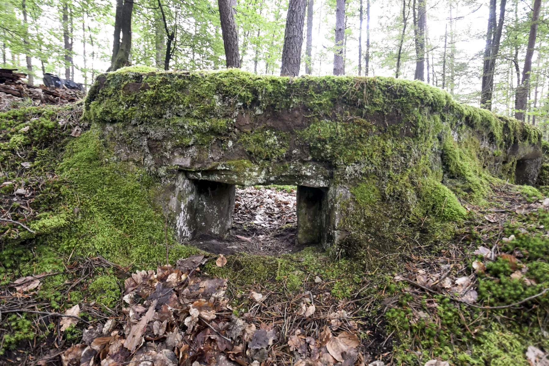 Ligne Maginot - DACHSECK 3 - (Cuve pour arme d'infanterie) -  - Ludovic KNAPP