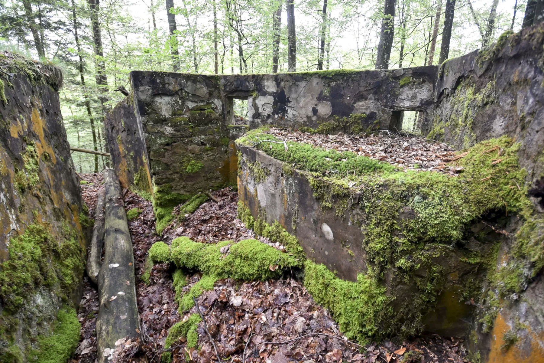 Ligne Maginot - DACHSECK 3 - (Cuve pour arme d'infanterie) -  - Ludovic KNAPP