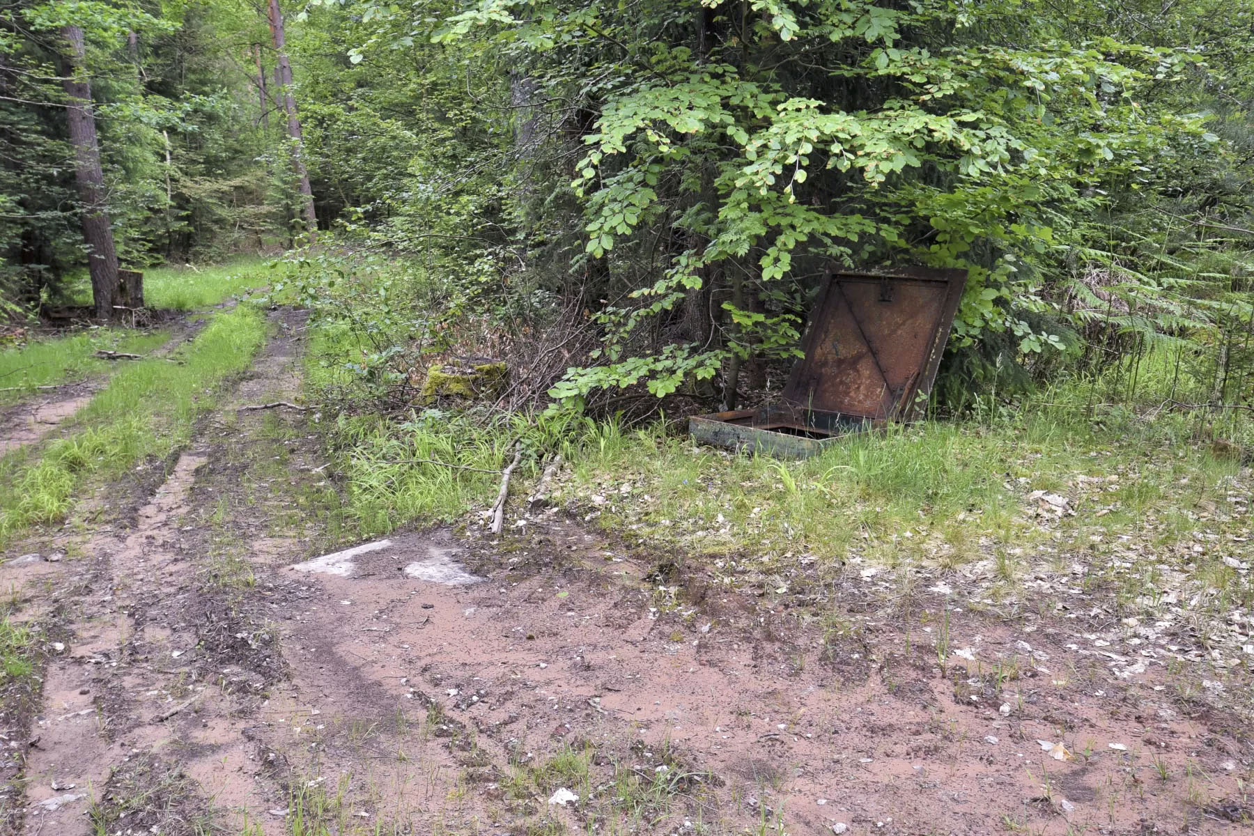 Ligne Maginot - C31 - (Chambre de coupure) -  - Ludovic KNAPP