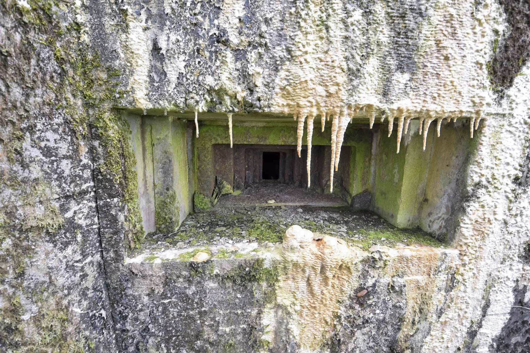 Ligne Maginot - AB7-E - BRANDSTUDEN  3 - (Blockhaus pour canon) -  - Ludovic KNAPP