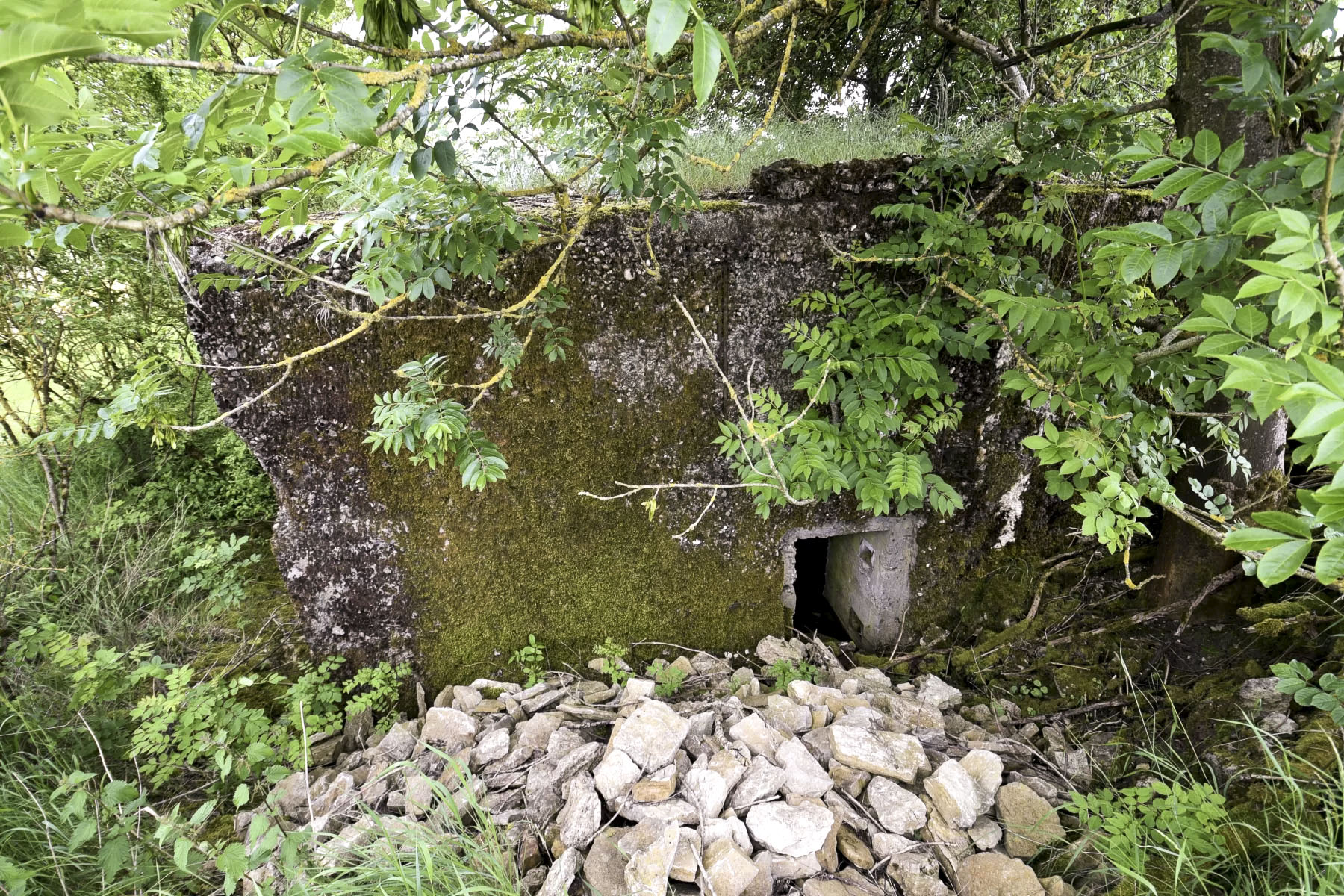 Ligne Maginot - AB7-E - BRANDSTUDEN  3 - (Blockhaus pour canon) -  - Ludovic KNAPP