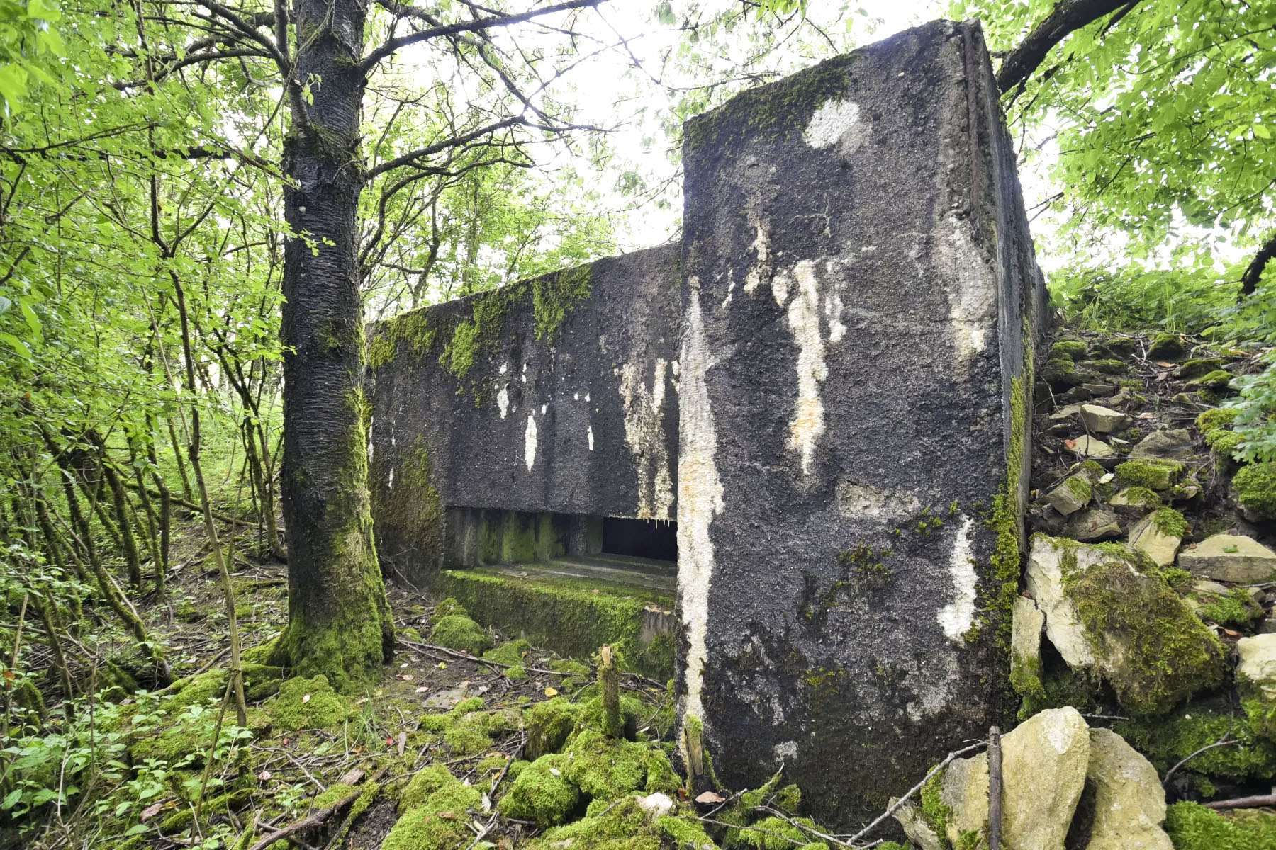 Ligne Maginot - AB7-C - BRANDSTUDEN  4 - (Blockhaus pour canon) -  - Ludovic KNAPP
