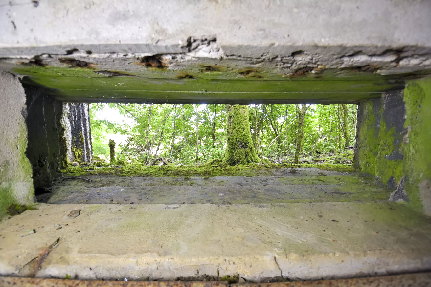 Ligne Maginot - AB7-C - BRANDSTUDEN  4 - (Blockhaus pour canon) -  - Ludovic KNAPP