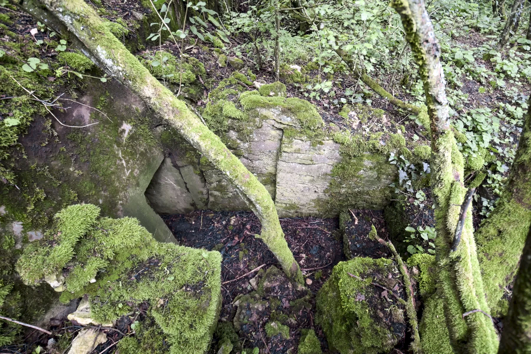 Ligne Maginot - LANGEN EST - (Blockhaus pour arme infanterie) -  - Ludovic KNAPP
