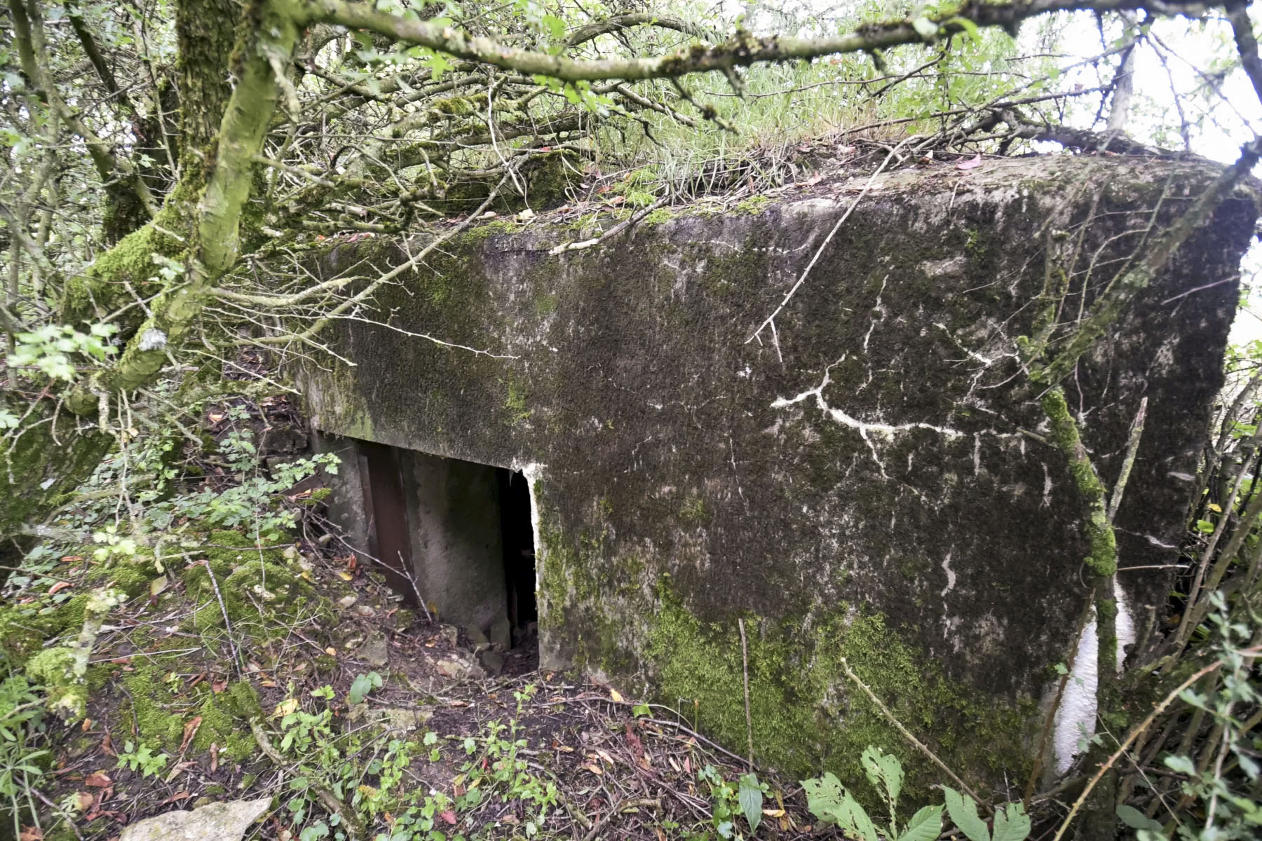 Ligne Maginot - AB310 - LANGEN OUEST - (Blockhaus pour canon) -  - Ludovic KNAPP
