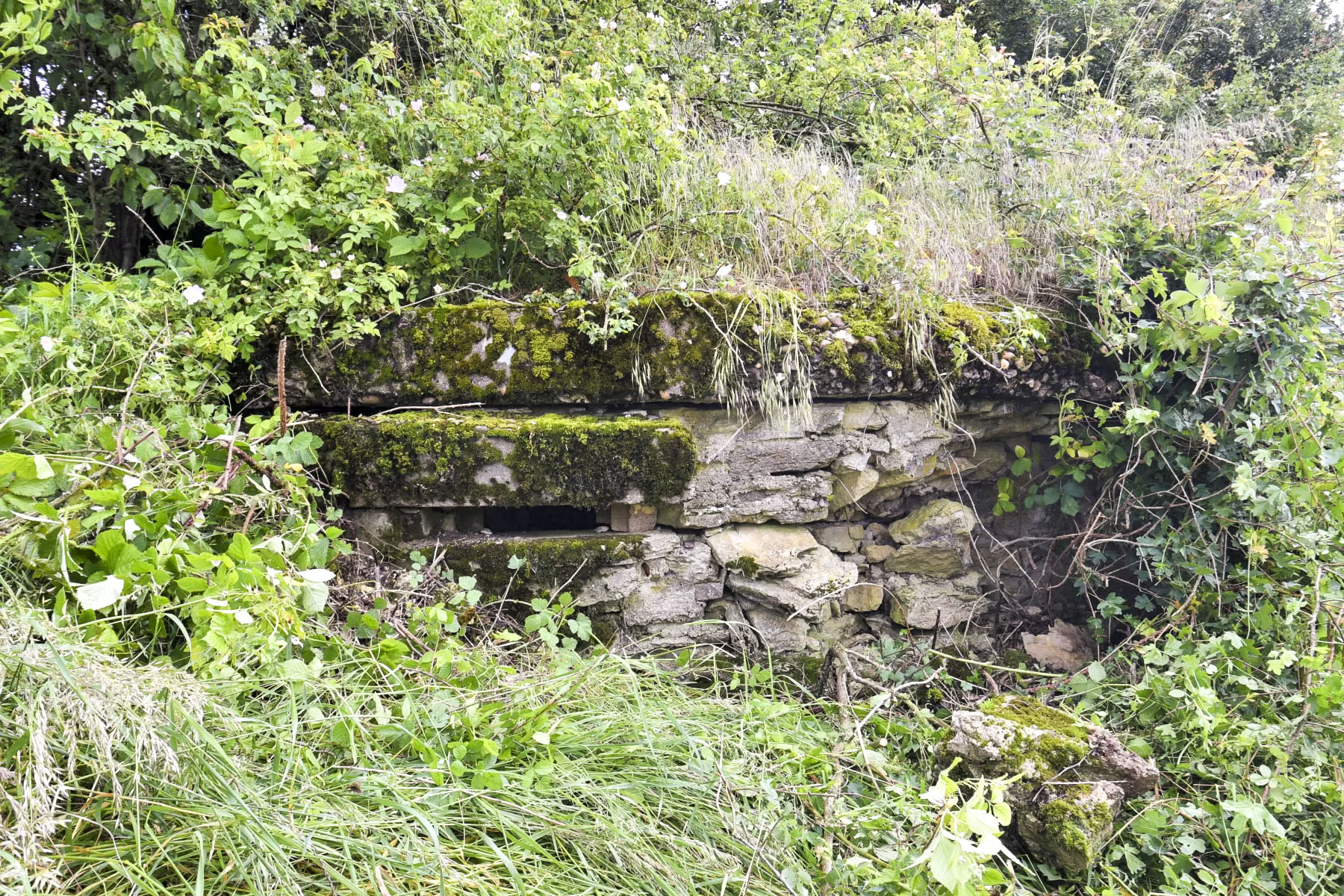 Ligne Maginot - AB310 - LANGEN OUEST - (Blockhaus pour canon) - L'annexe - Ludovic KNAPP