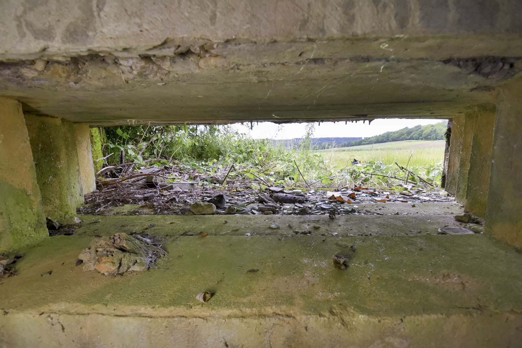 Ligne Maginot - AB310 - LANGEN OUEST - (Blockhaus pour canon) -  - Ludovic KNAPP