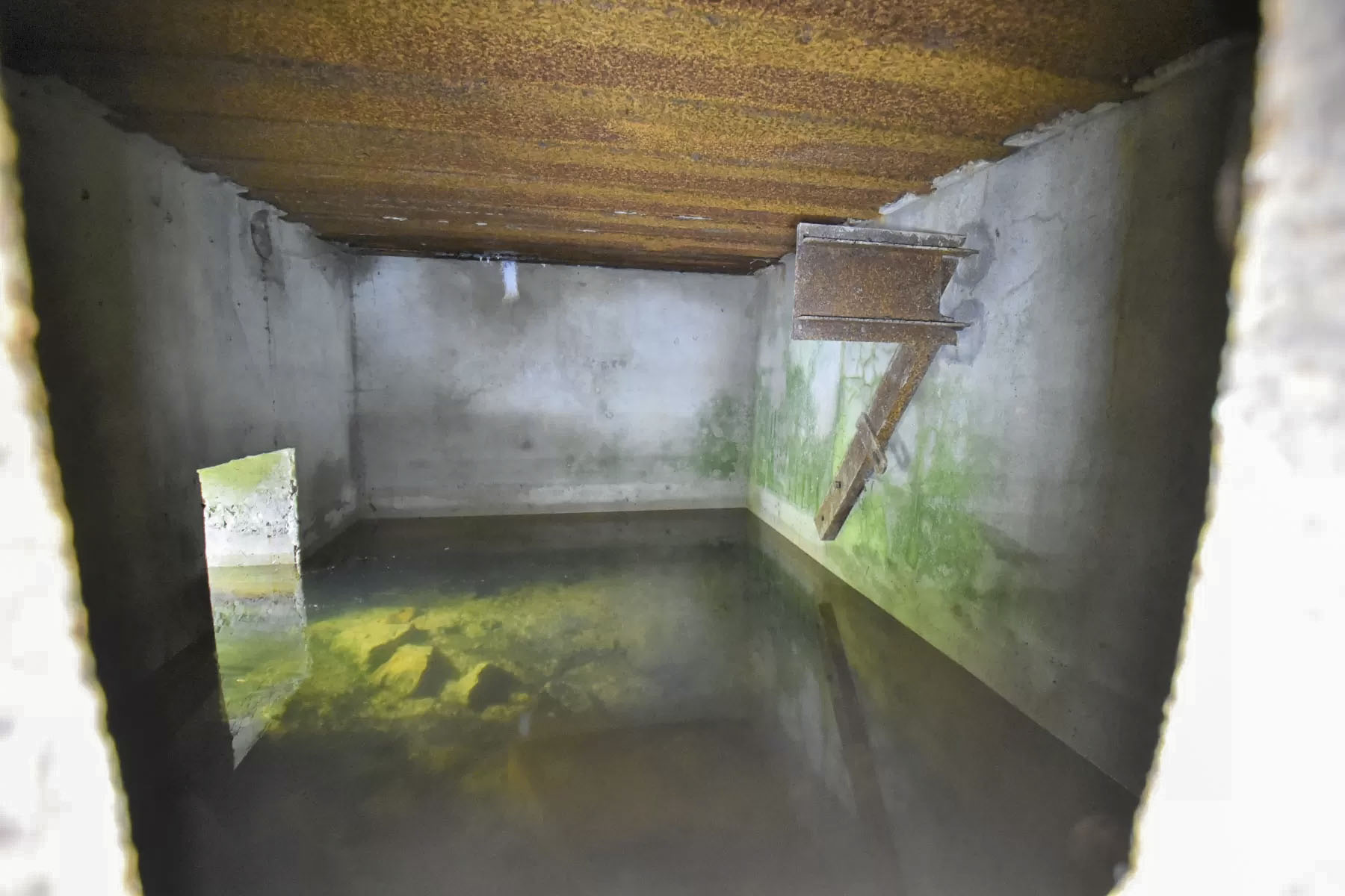 Ligne Maginot - AB7-B - BRANDSTUDEN  5 - (Blockhaus pour arme infanterie) - Le blockhaus est plein d'eau - Ludovic KNAPP