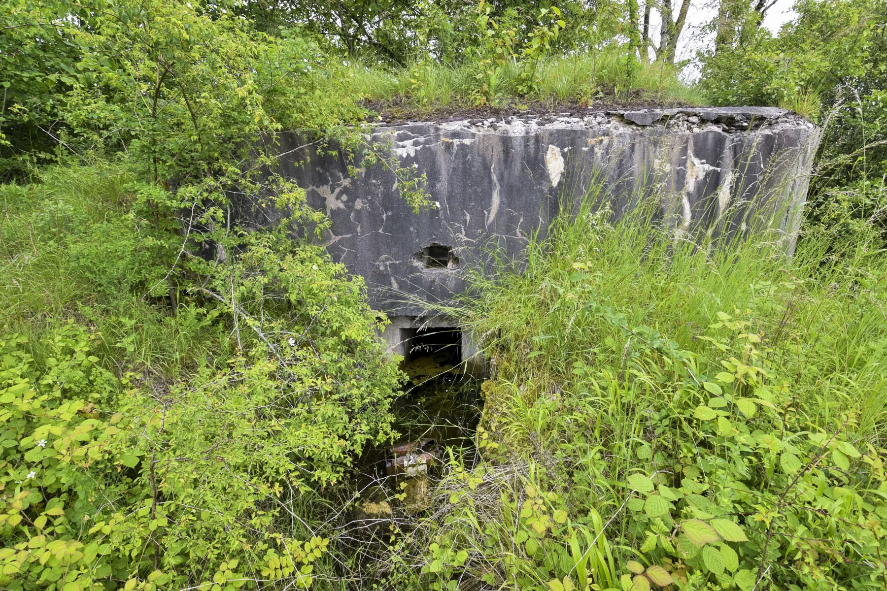Ligne Maginot - AB7-B - BRANDSTUDEN  5 - (Blockhaus pour arme infanterie) -  - Ludovic KNAPP
