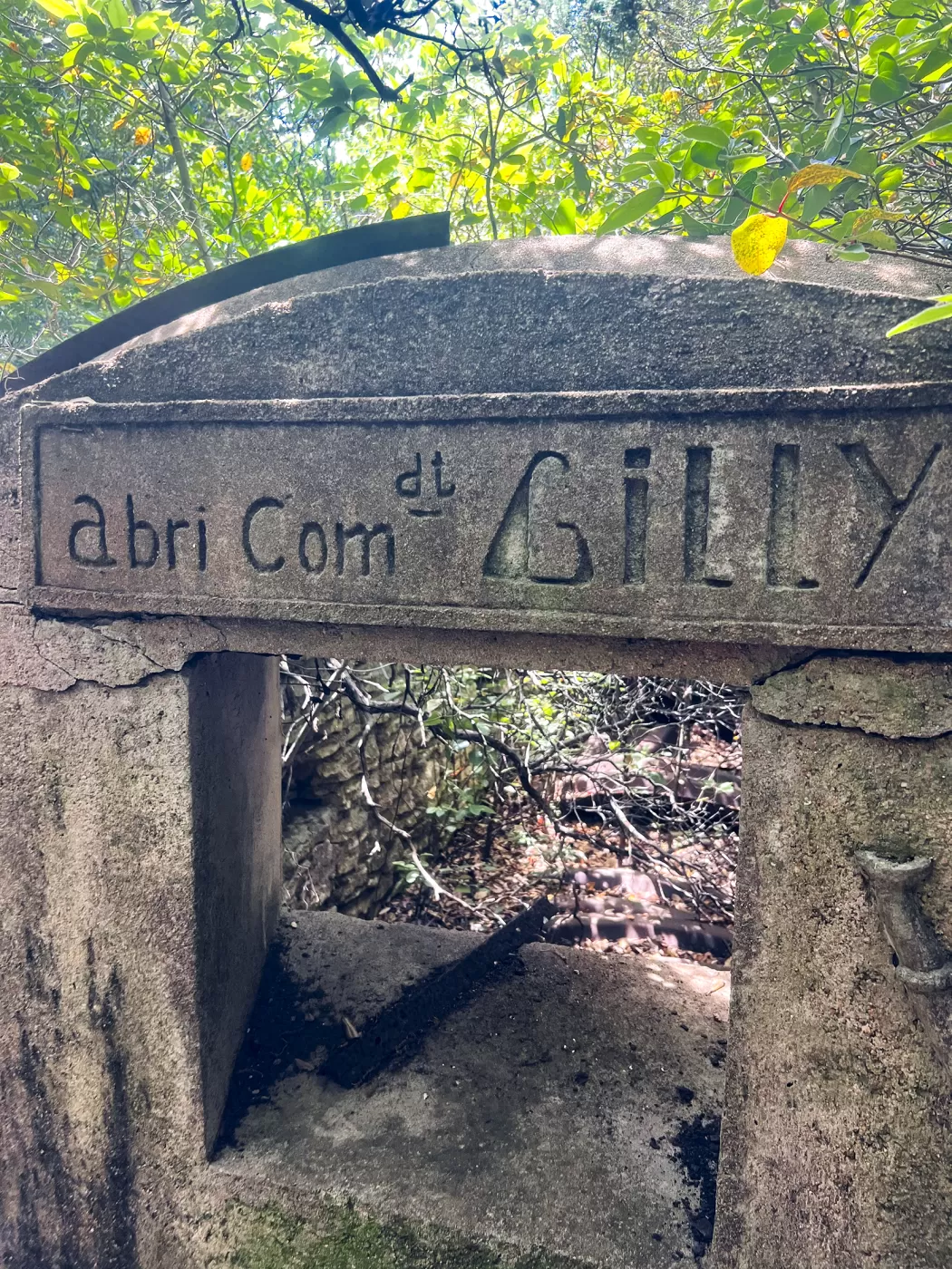 Ligne Maginot - SPINELLA  - (Abri) -  - Gabriel Campos