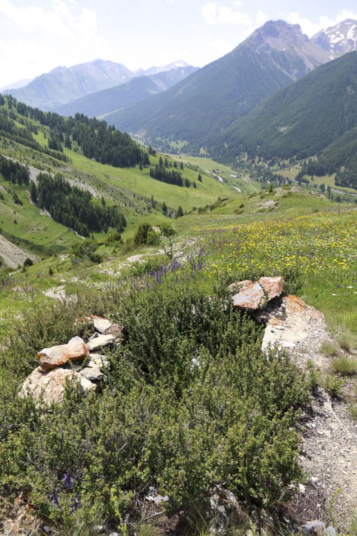 Ligne Maginot - PA 1893 - 1 - (Cuve pour arme d'infanterie) - L'emplacement.
Vue vers le Col de Larche    - Alain Perouffe