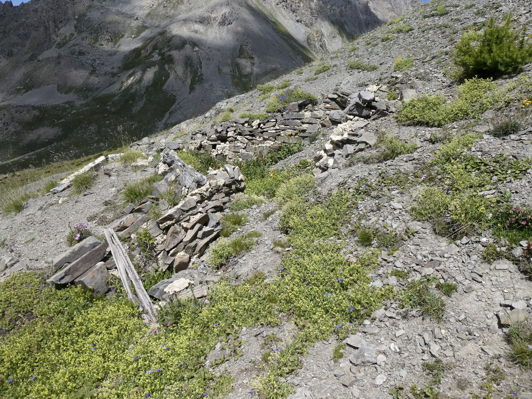 Ligne Maginot - COL DE BUFFERE EST 3 - (Cuve pour arme d'infanterie) -  - ELLENA Daniel - CUNY Philippe