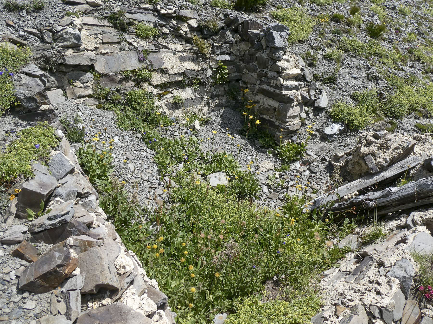 Ligne Maginot - COL DE BUFFERE EST 3 - (Cuve pour arme d'infanterie) -  - ELLENA Daniel - CUNY Philippe