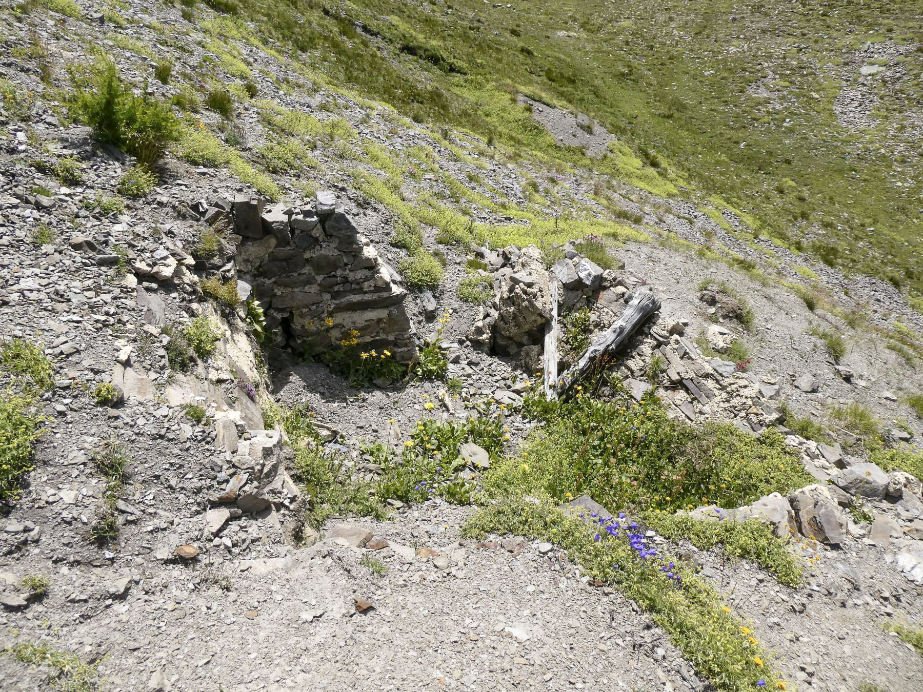 Ligne Maginot - COL DE BUFFERE EST 3 - (Cuve pour arme d'infanterie) -  - ELLENA Daniel - CUNY Philippe