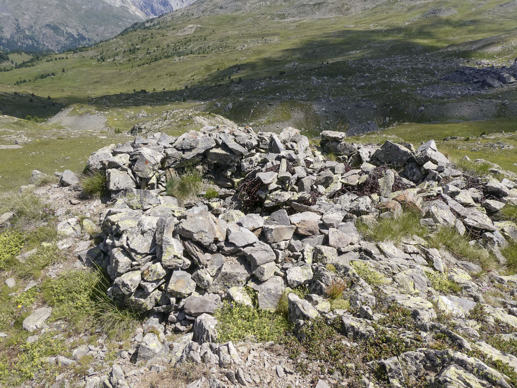 Ligne Maginot - COL DE BUFFERE EST 2 - (Abri) - Environnement - ELLENA Daniel - CUNY Philippe