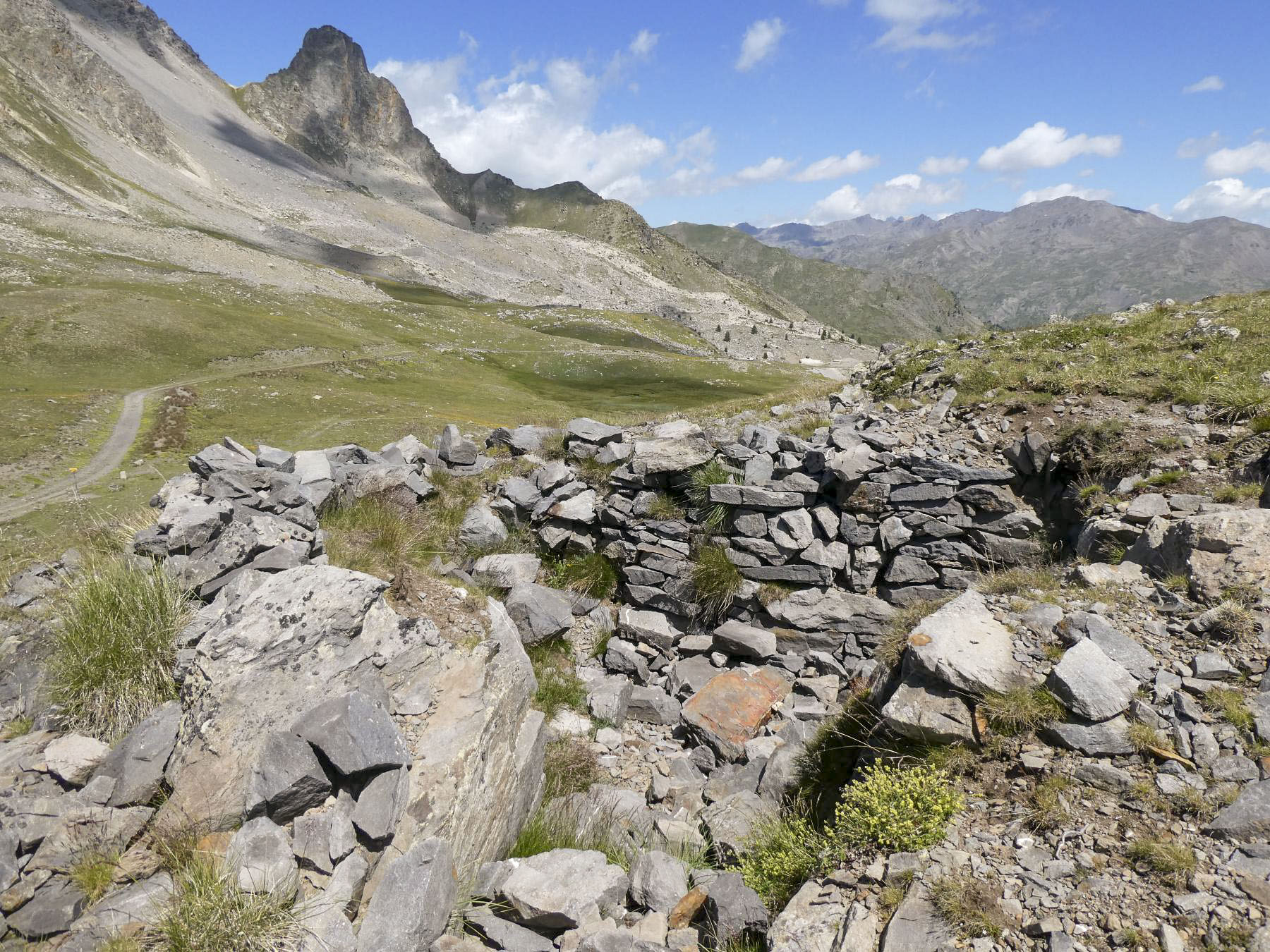 Ligne Maginot - COL DE BUFFERE EST 2 - (Abri) - Environnement - ELLENA Daniel - CUNY Philippe