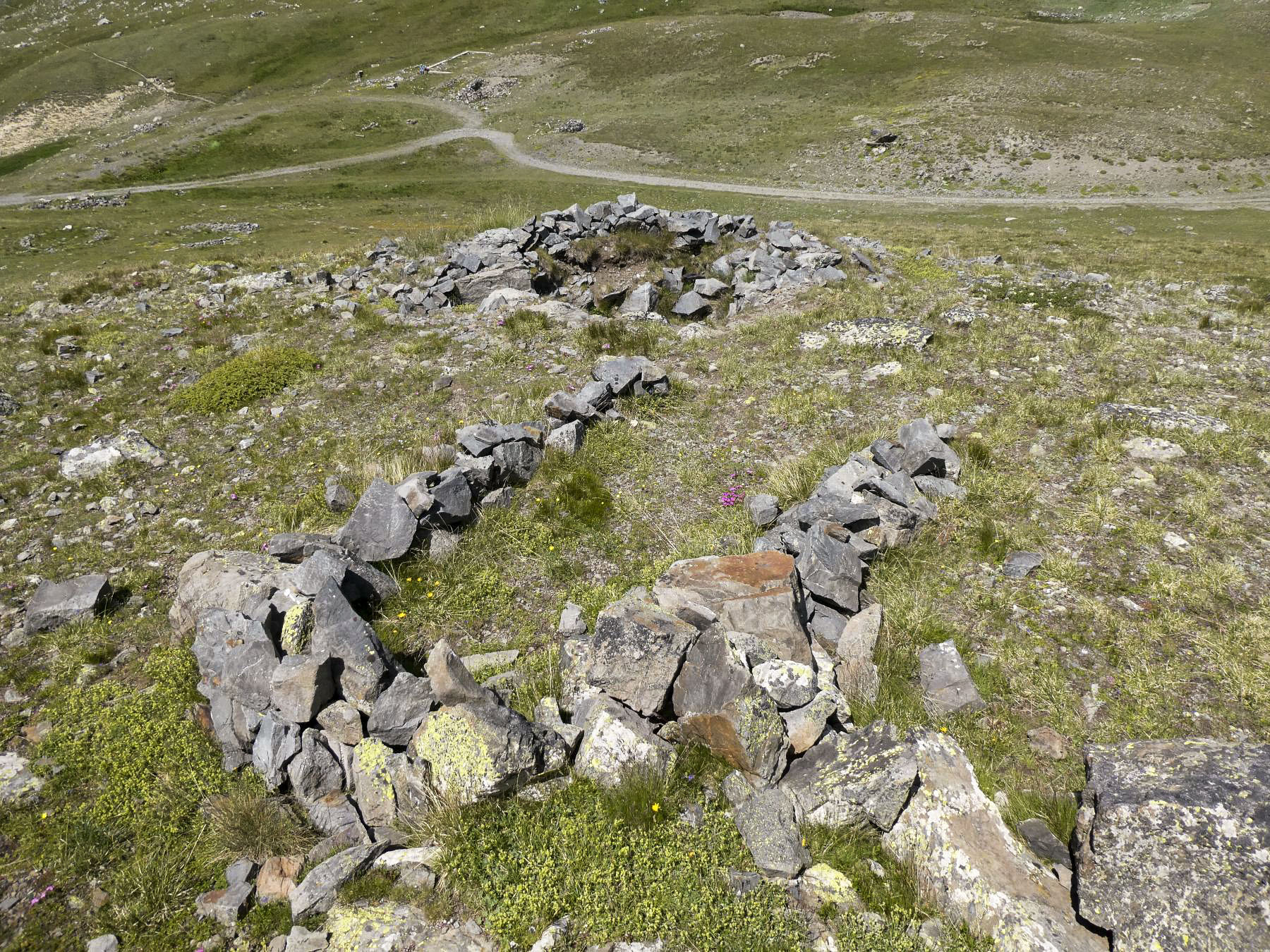 Ligne Maginot - COL DE BUFFERE EST 2 - (Abri) - Environnement - ELLENA Daniel - CUNY Philippe