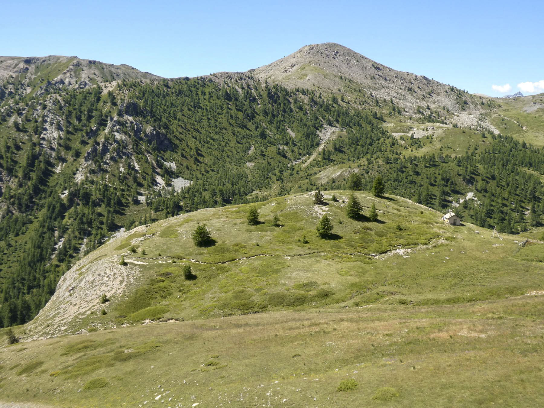 Ligne Maginot - COL DE GRANON - (Ouvrage d'infanterie) - Environnement: position d'infanterie - ELLENA Daniel - CUNY Philippe