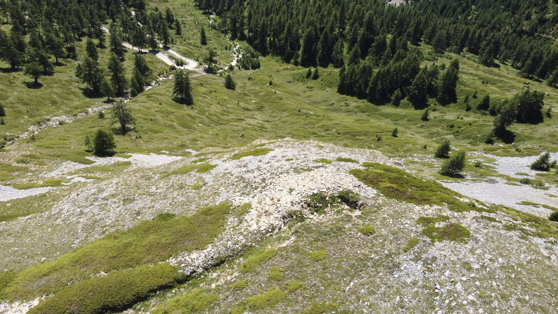 Ligne Maginot - COL DE GRANON - (Ouvrage d'infanterie) - Environnement: position d'infanterie - ELLENA Daniel - CUNY Philippe