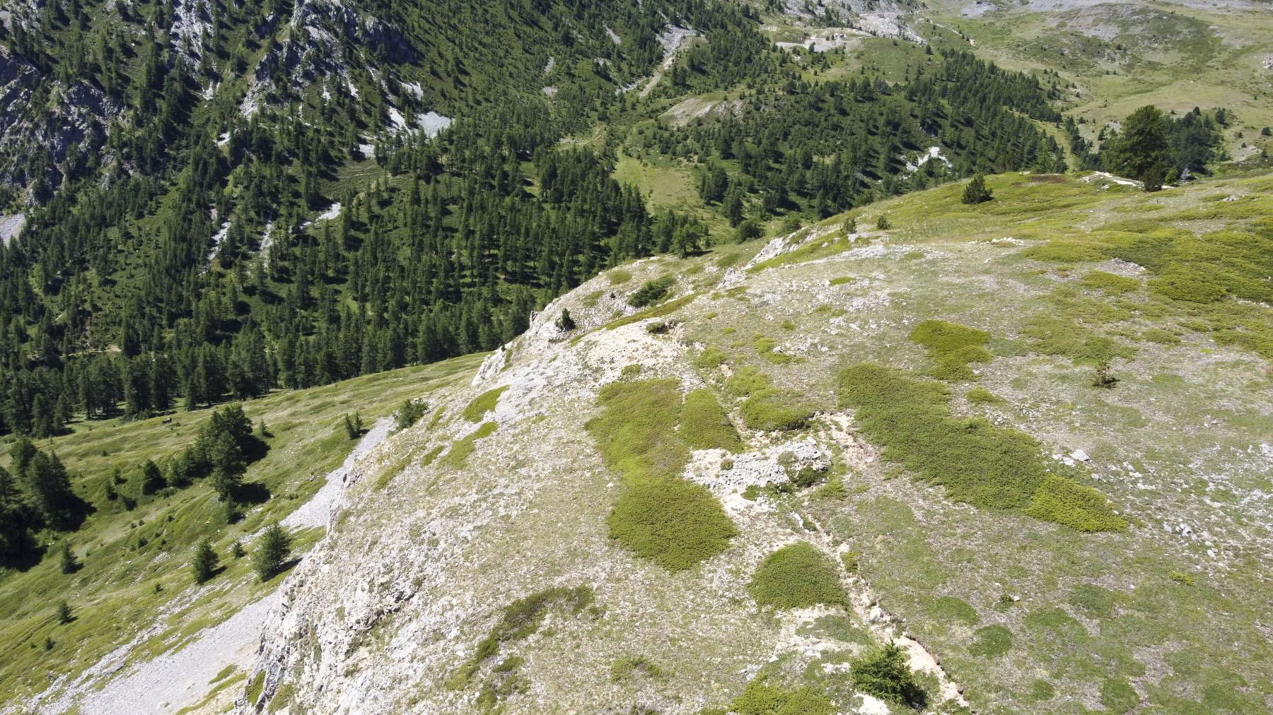 Ligne Maginot - COL DE GRANON - (Ouvrage d'infanterie) - Environnement: position d'infanterie - ELLENA Daniel - CUNY Philippe
