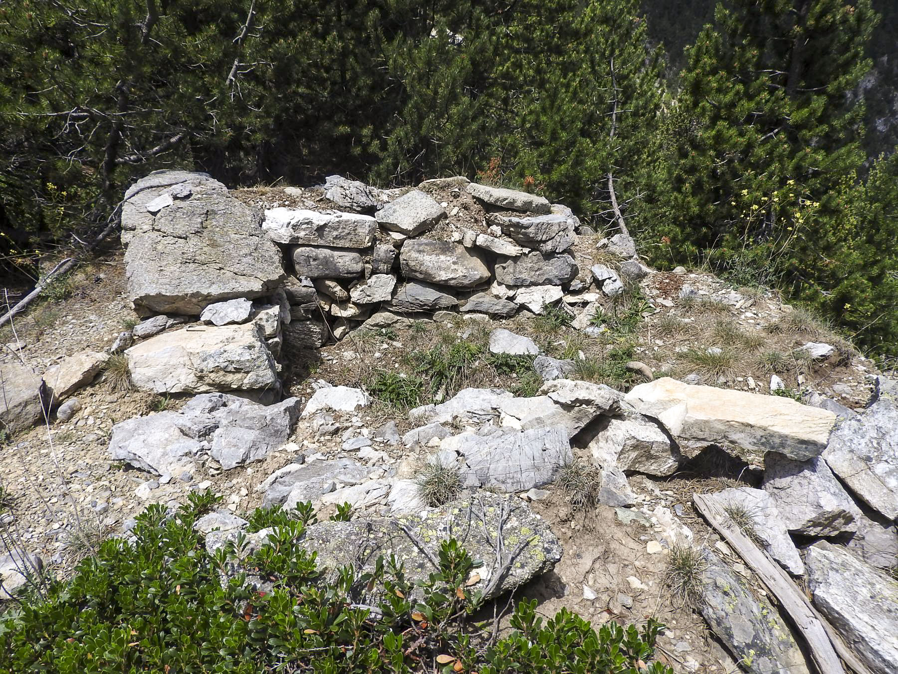 Ligne Maginot - COL DE L'ECHELLE 1 - (Blockhaus pour arme infanterie) - L'encuvement en pierre au-dessus de la pilule. - STENGER Mathieu