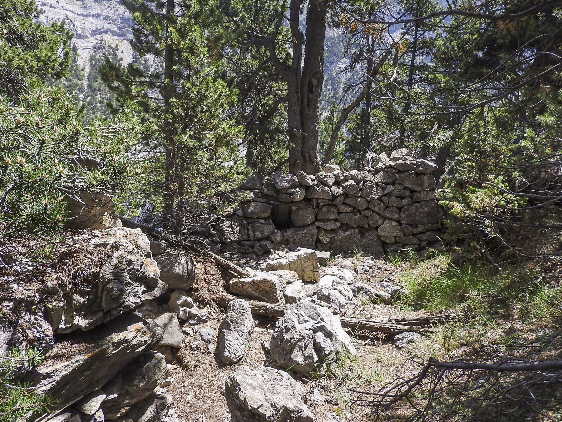 Ligne Maginot - COL DE L'ECHELLE 1 - (Blockhaus pour arme infanterie) - Une position d'infanterie à côté de la pilule. - STENGER Mathieu