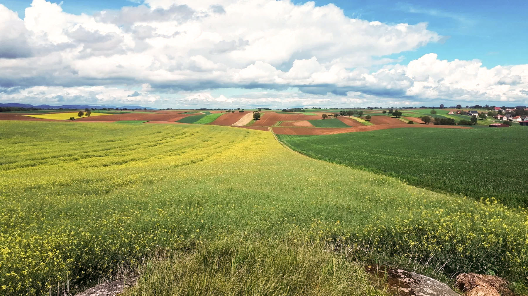 Ligne Maginot - EICHELBERG SUD - RAVIN MICONNET - (Blockhaus pour canon) - Direction de tir du Blockhaus, sur le thalweg montant d'Aschbach - Gregory Fuchs