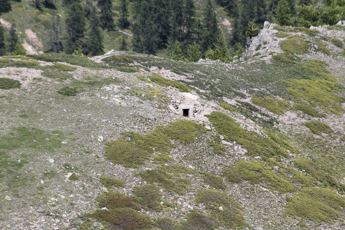 Ligne Maginot - CRETE DU GRAND MEYRET 3 - (Blockhaus pour arme infanterie) - 