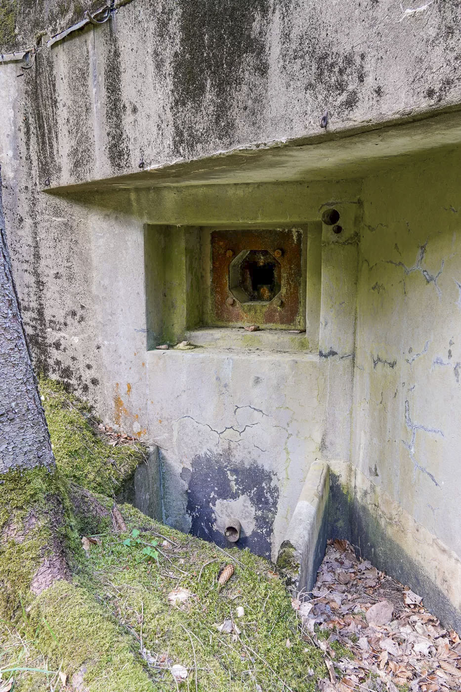 Ligne Maginot - BIESENBERG 1 - (Blockhaus pour arme infanterie) - Créneau FM 24/29 - David Palmer