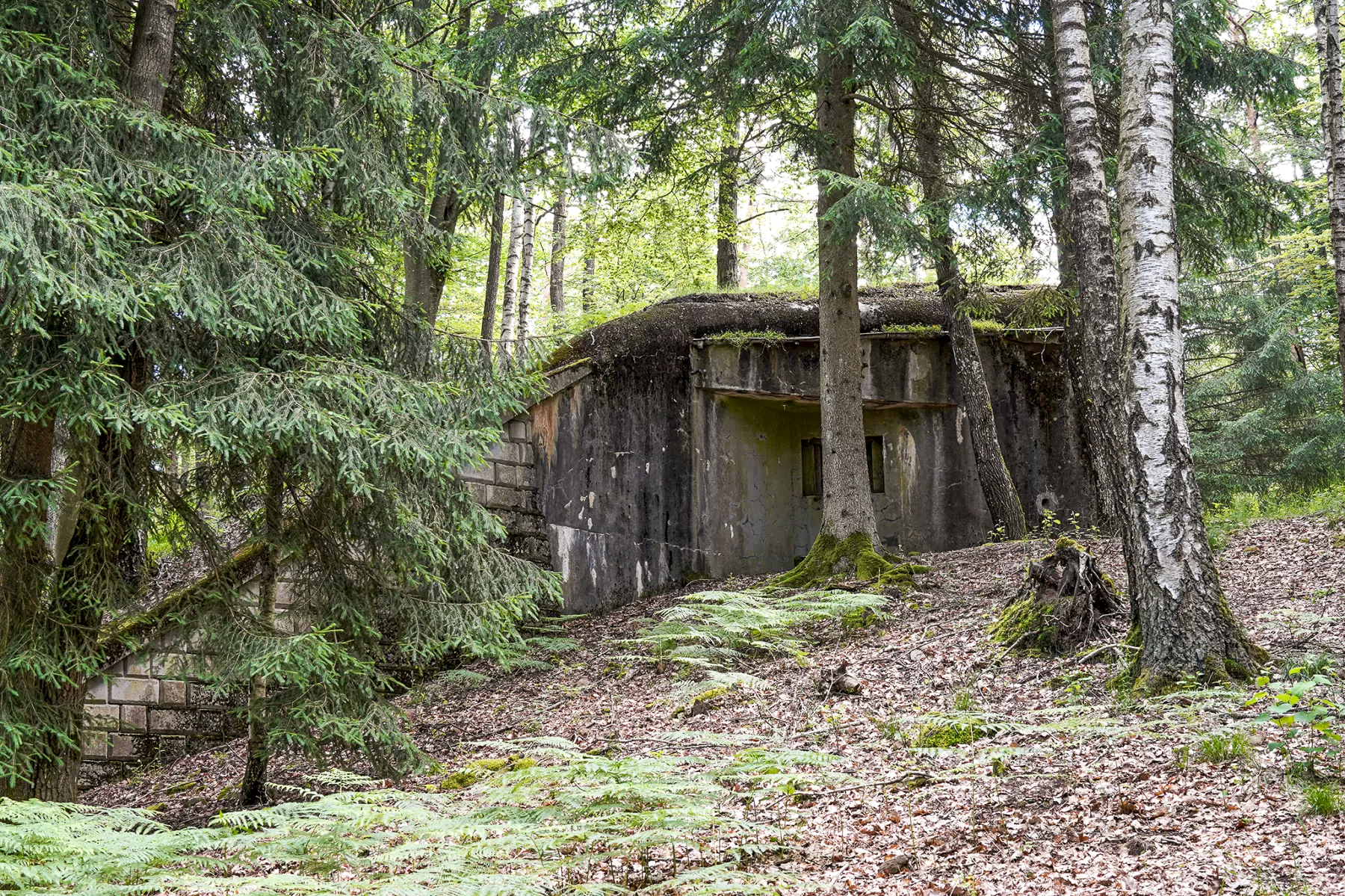 Ligne Maginot - BIESENBERG 3 - (Blockhaus pour arme infanterie) - Vue extérieure
 - David Palmer