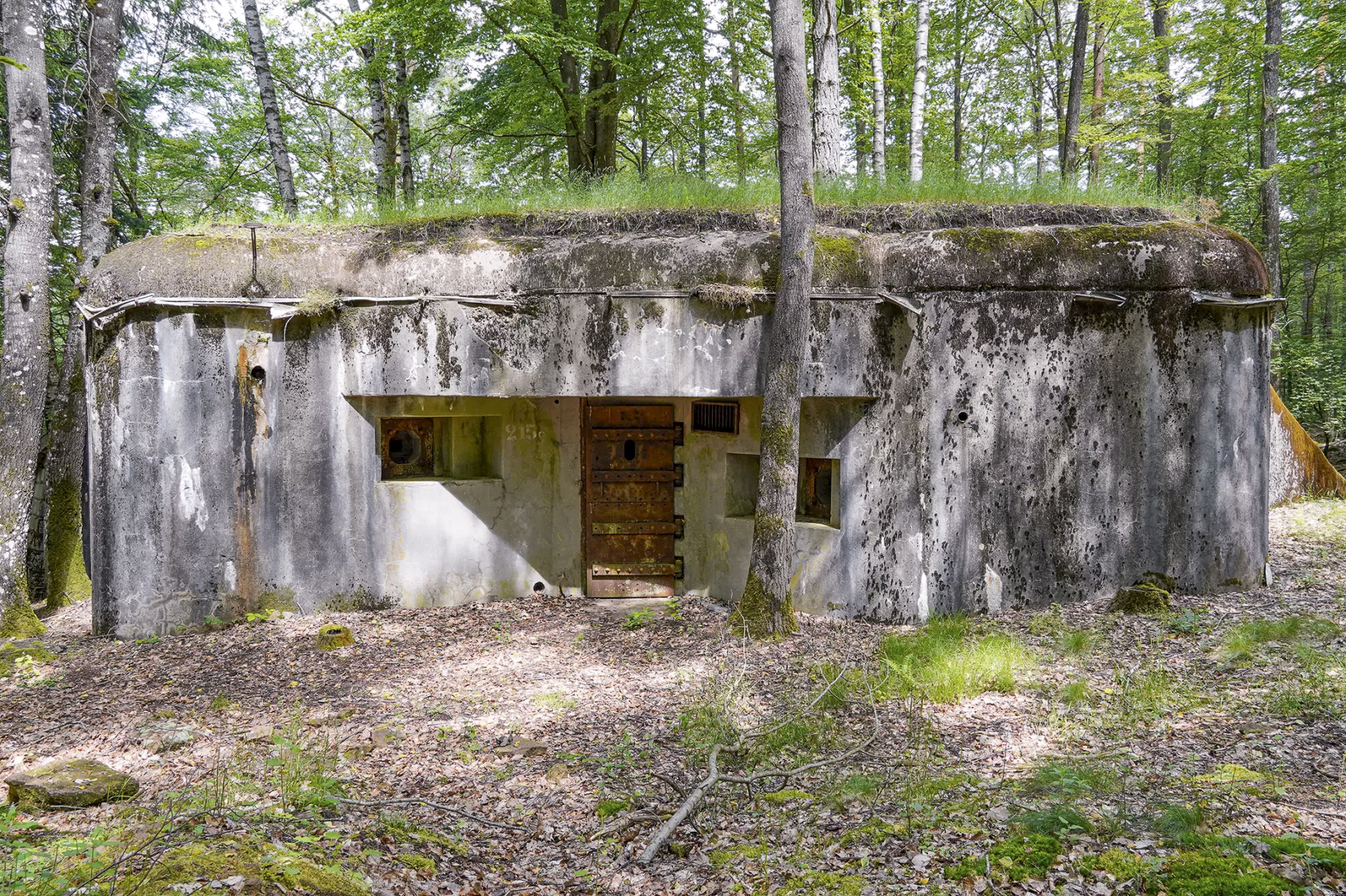 Ligne Maginot - BIESENBERG 3 - (Blockhaus pour arme infanterie) - Vue extérieure
 - David Palmer