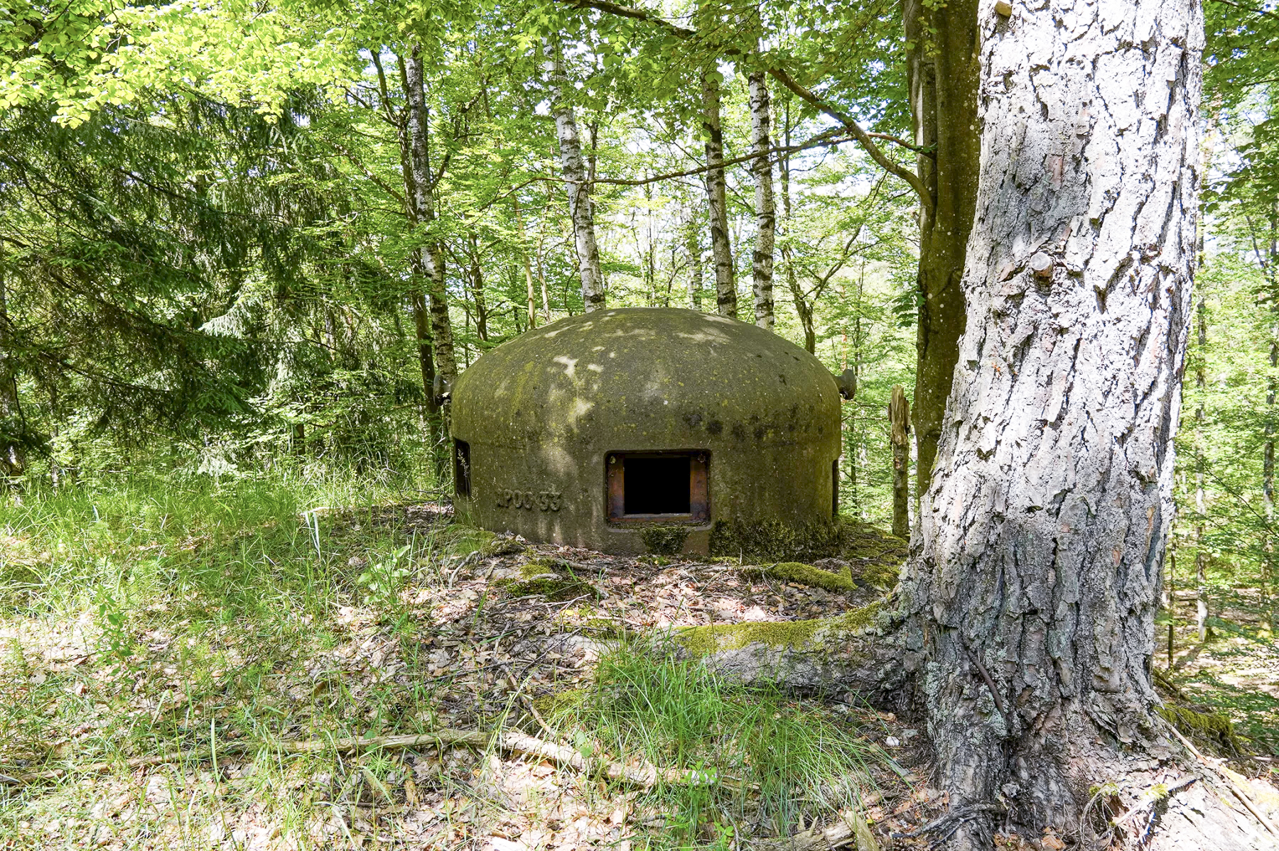 Ligne Maginot - BIESENBERG 3 - (Blockhaus pour arme infanterie) - Cloche GFM - David Palmer