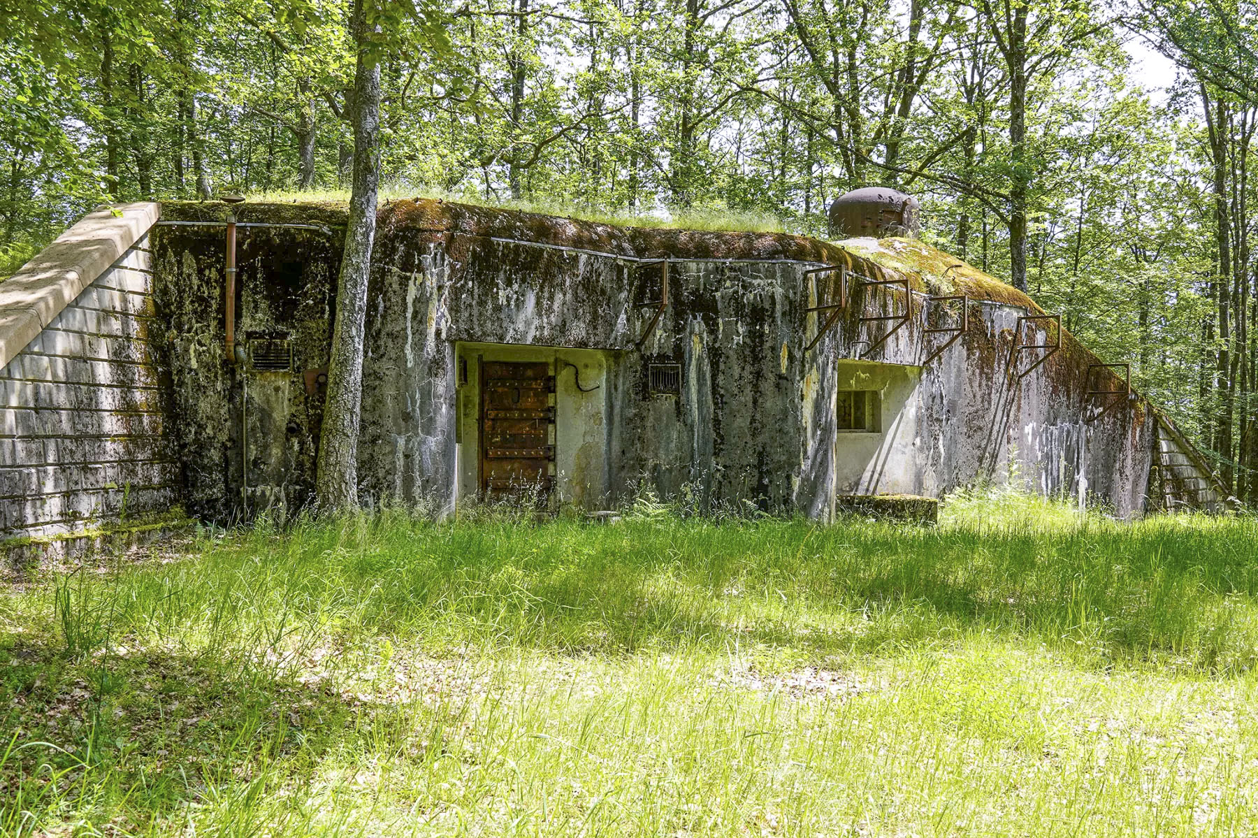 Ligne Maginot - BIESENBERG SOMMITALE - (Casemate d'infanterie - Simple) - Vue extérieure - David Palmer