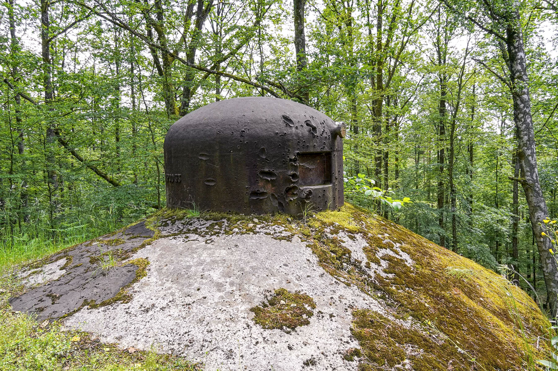 Ligne Maginot - BIESENBERG SOMMITALE - (Casemate d'infanterie - Simple) - Cloche GFM - David Palmer