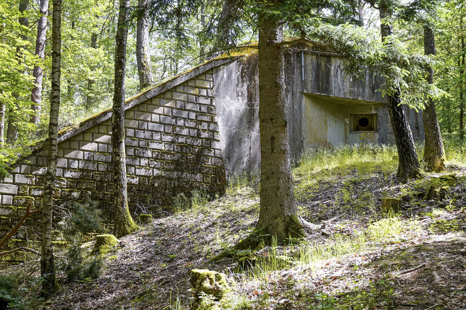 Ligne Maginot - BIESENBERG 2 - (Blockhaus pour arme infanterie) - Vue extérieure - David Palmer