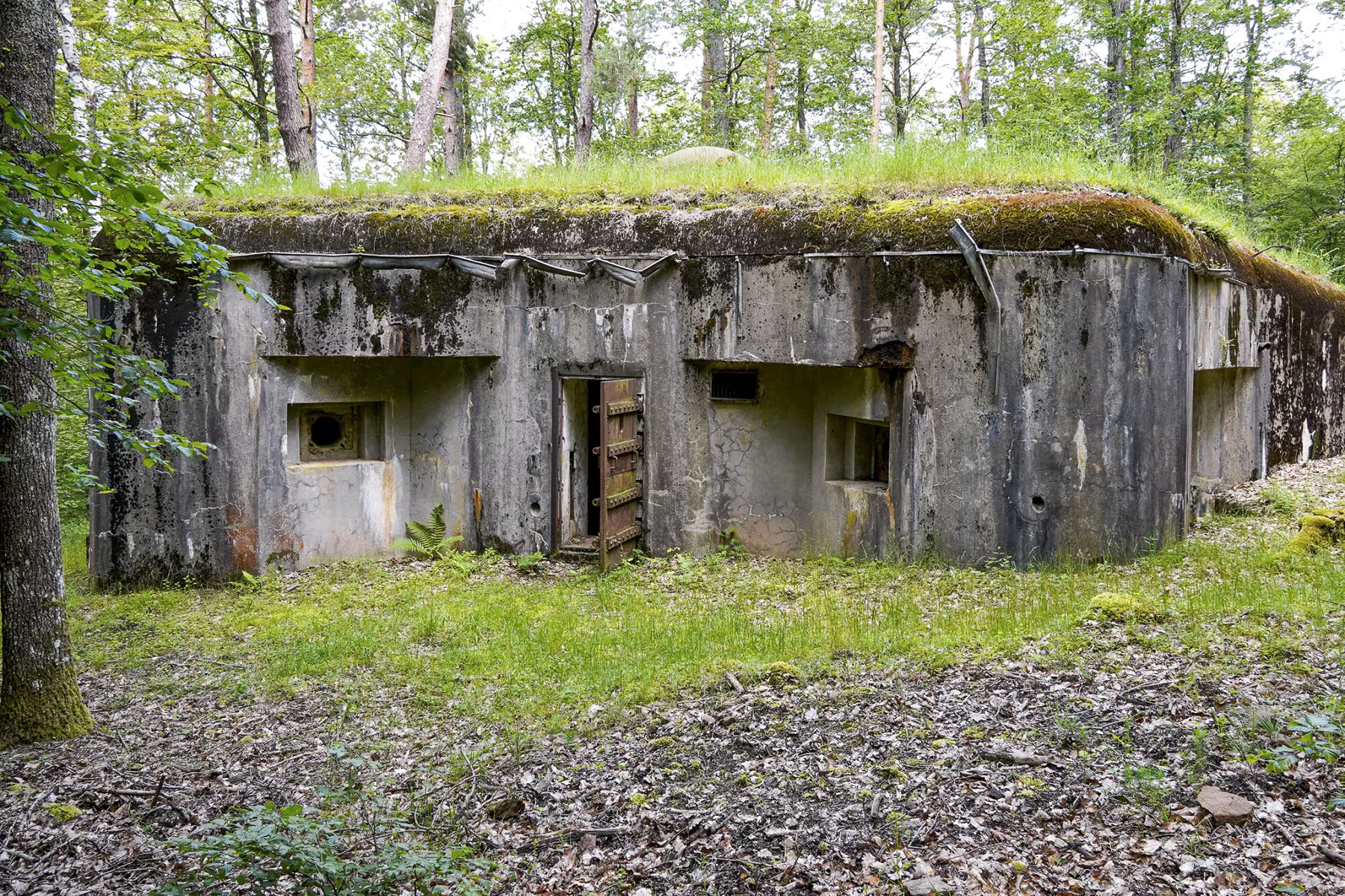 Ligne Maginot - BIESENBERG 2 - (Blockhaus pour arme infanterie) - Vue extérieure - David Palmer